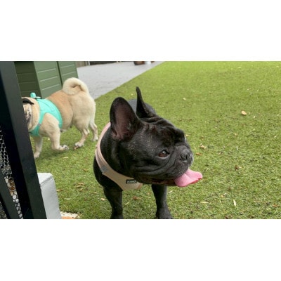 HOTEL「途乃中」ペア宿泊券(RC0スタンダードプラン)