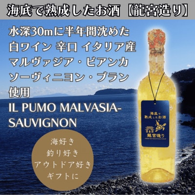 【海底に半年沈めて熟成した白ワイン】辛口 IL PUMO MALVASIA-SAUVIGNON #9