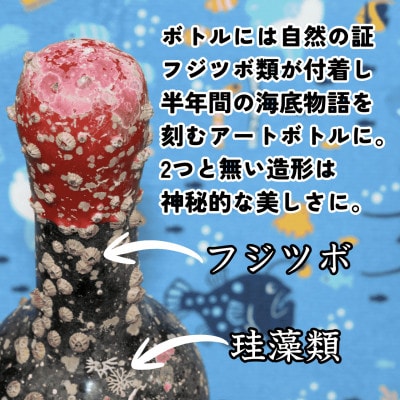 【海底に半年沈めて熟成した白ワイン】辛口 LA CRO BLANC 2024 #28