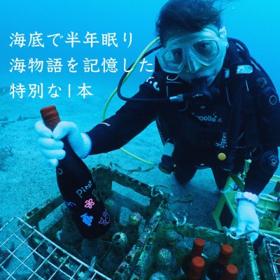 【ギフトセット】海底で熟成した日本酒 純米吟醸 2銘柄×各1本(300ml)
