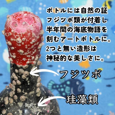 【ギフトセット】海底で熟成した日本酒 純米吟醸 2銘柄×各1本(300ml)