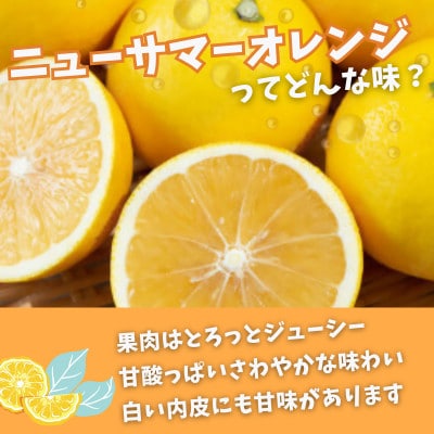 【杉山園】ニューサマーオレンジ (5kg)