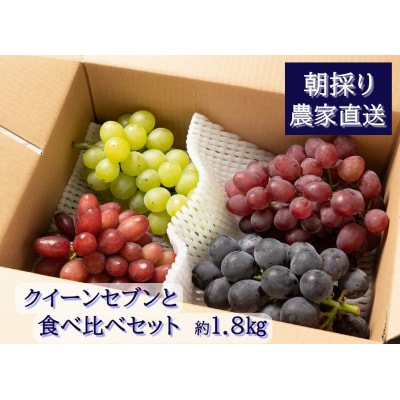 【2026年発送分先行受付】クイーンセブンと食べ比べセット(約1.8kg)【配送時期:8月中旬】