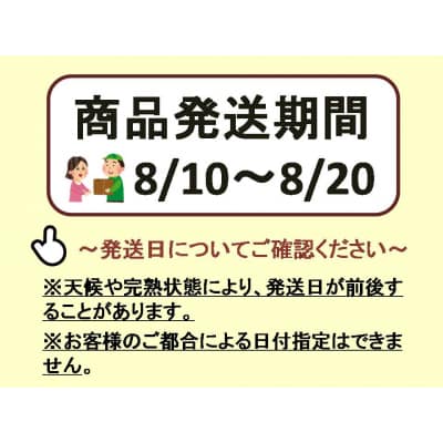 【2026年発送分先行受付】クイーンセブン　2房(約0.8kg)【配送時期:8月中旬】