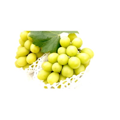 【2026年発送分先行受付】シャインマスカット　2～3房(約1.3kg)】【配送時期:9月上旬】