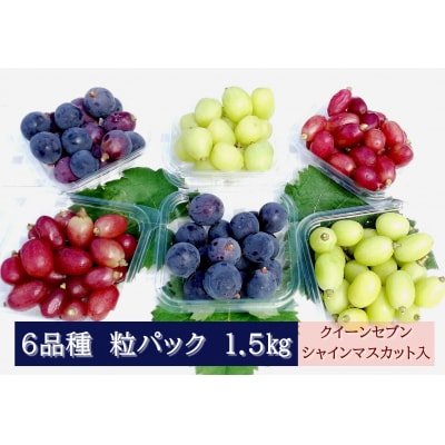 【2026年発送分先行受付】6品種の粒パックセット 1.5kg【配送時期:8月下旬】