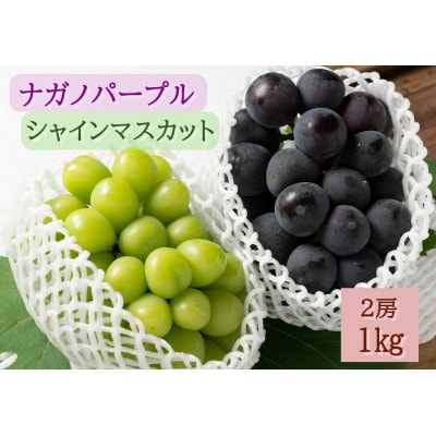 【2026年発送分先行受付】ナガノパープル・シャインマスカット　2房(約1kg)【配送時期8月下旬】