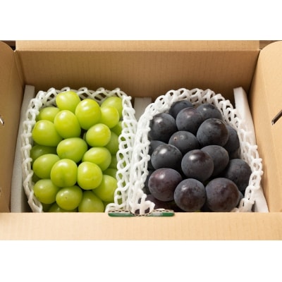 【2026年発送分先行受付】ナガノパープル・シャインマスカット　2房(約1kg)【配送時期8月下旬】