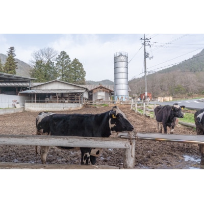 カドーレ牧場手づくりジェラートセット
