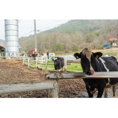 カドーレ牧場手づくりジェラートセット