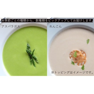 【低アレルゲン】朝のひとくちめ　東広島野菜のポタージュ15個【配送時期:2026年1月下旬以降】