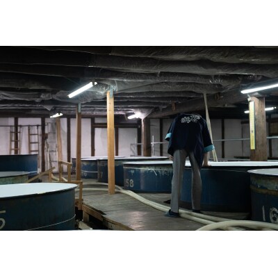 西條鶴　酒蔵限定酒・純米大吟醸原酒720ml