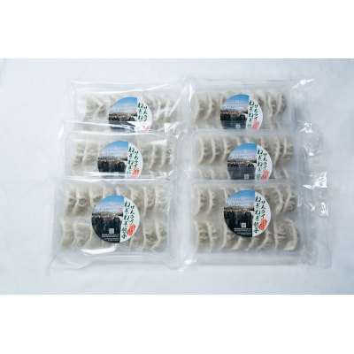 ねぎ農家がつくったサムライねぎ餃子96個(16個x6パック)(※配送は2025年5月以降)