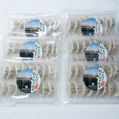 ねぎ農家がつくったサムライねぎ餃子96個(16個x6パック)