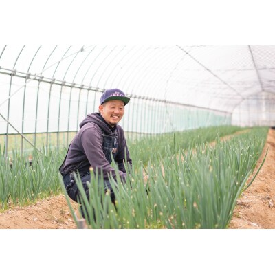 ねぎ農家がつくったサムライねぎ餃子96個(16個x6パック)(※配送は2025年5月以降)