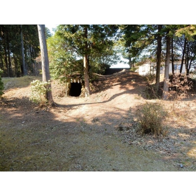 【陶芸体験 電動ろくろコース ペアチケット】保田窯 陶芸の里 広島 クラフト 手作り