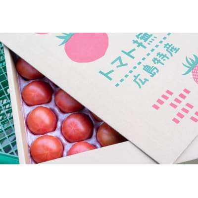 アグライズ トマト撫子 約4kg【配送時期:6月〜12月】【冷蔵配送:6月〜10月】