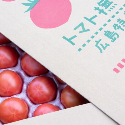 アグライズ トマト撫子 約4kg【配送時期:6月～12月】【冷蔵配送:6月～10月】