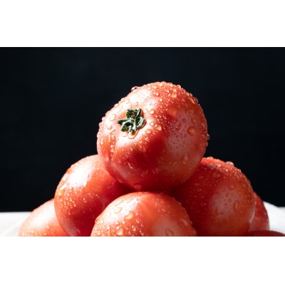 アグライズ トマト撫子 約4kg【配送時期:6月～12月】【冷蔵配送:6月～10月】