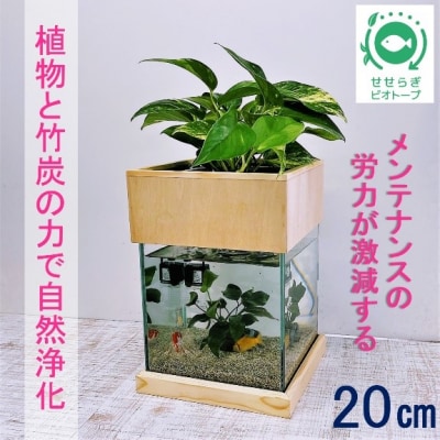 せせらぎビオトープ　20cm型基本+木枠台セット