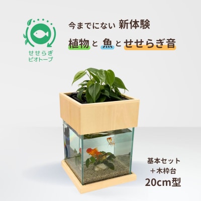 せせらぎビオトープ　20cm型基本+木枠台セット