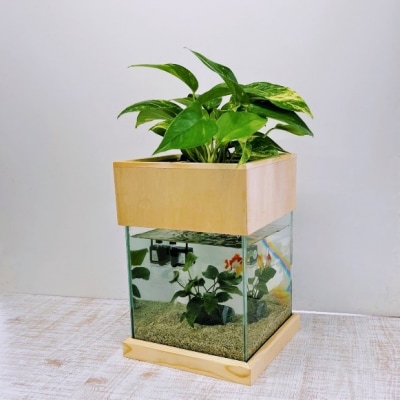 せせらぎビオトープ　20cm型基本+木枠台セット