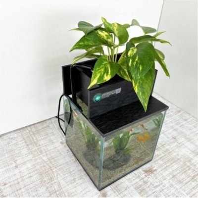 せせらぎビオトープ　20cm型基本セット