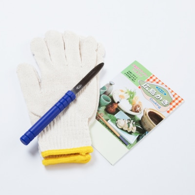 広島安芸津産　牡蠣むき身1.0kg・殻付き牡蠣25個セット【配送時期:2026年3月～4月中旬】