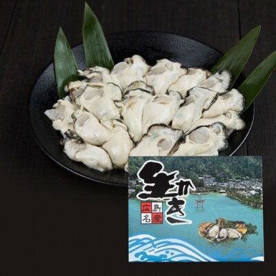 広島安芸津産　生牡蠣むき身1.5kg【配送時期:2025年1月以降】