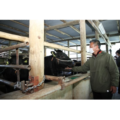 黒瀬牛 すき焼き用　1kg【配達不可:北海道・沖縄・離島】