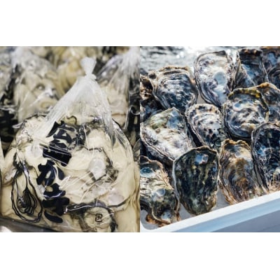 むき身牡蠣300g&殻付き牡蠣(8個～10個)【配送時期:2026年1月上旬～2026年4月上旬】