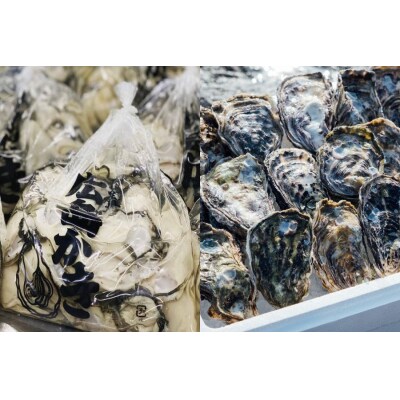 むき身牡蠣1600g&殻付き牡蠣(5個～8個)【配送時期:2027年1月上旬～2027年4月上旬】