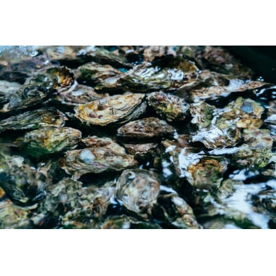 牡蠣　広島　カンカン焼き(15個入)　矢野水産【配送時期:2027年1月上旬～2027年4月上旬】