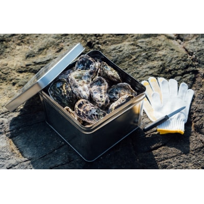 牡蠣　広島　カンカン焼き(30個入)　矢野水産【配送時期:2026年1月上旬～2026年4月上旬】