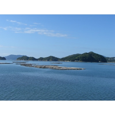 牡蠣　広島　むき身冷凍牡蠣300g×3袋　矢野水産