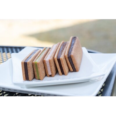 アイクレール 生ちょこサブレ 5種類10個入り【配達不可:離島】