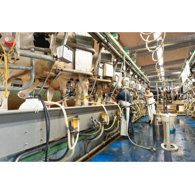 牧場のティータイムセット【配送不可:離島】