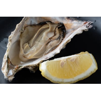 カンカン焼きセット 広島 殻付き牡蠣  マルミ水産