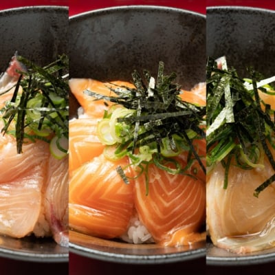 【生で届く】瀬戸内広島の魚屋が仕込む漬け丼3種×1セット480g
