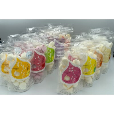 とびしま詰め合わせセットD(れもんげなど9種各2袋)