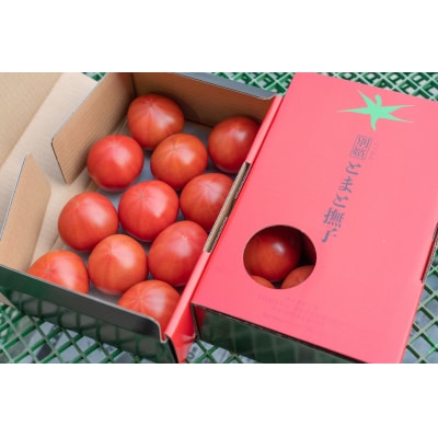 【先行受付商品】アグライズ 別嬪とまと撫子 約2kg(約1kg箱×2)【配送時期:2月～3月】