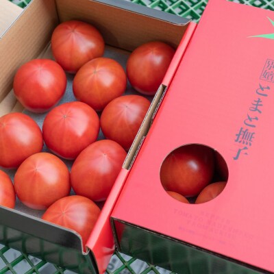 【先行受付商品】アグライズ 別嬪とまと撫子 約2kg(約1kg箱×2)【配送時期:2月～3月】