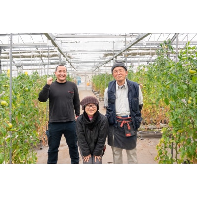 【先行受付商品】アグライズ 別嬪とまと撫子 約2kg(約1kg箱×2)【配送時期:2月～3月】