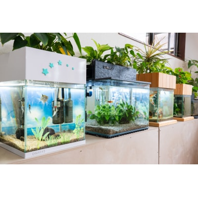 せせらぎビオトープ　60cm型ろ過装置・ 縁あり水槽用(※水槽はついていません)