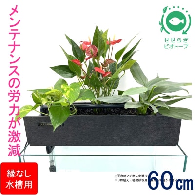 せせらぎビオトープ　60cm型ろ過装置・縁なし水槽用(※水槽はついていません)