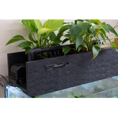 せせらぎビオトープ　60cm型ろ過装置・縁なし水槽用(※水槽はついていません)