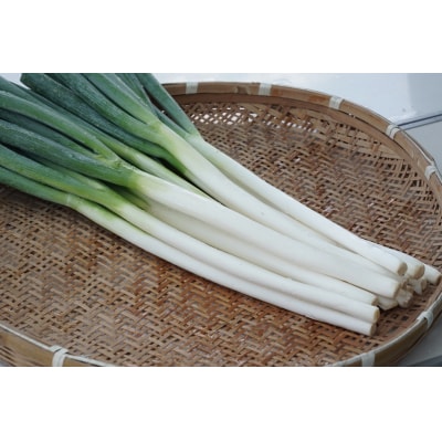 【先行受付】アグリ・アライアンス　白ネギ 3Kg 広島県産  【配送時期:12月上旬～1月下旬】