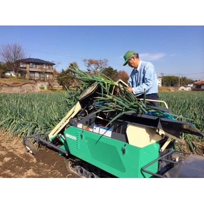 【先行受付】アグリ・アライアンス　白ネギ 3Kg 広島県産  【配送時期:12月上旬～1月下旬】