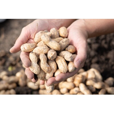 アグリ・アライアンス　ピーナッツペースト　100g×2本