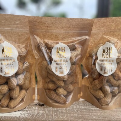 アグリ・アライアンス　焙煎落花生　おおまさり　100g×3個 　TUTITONE 　大粒